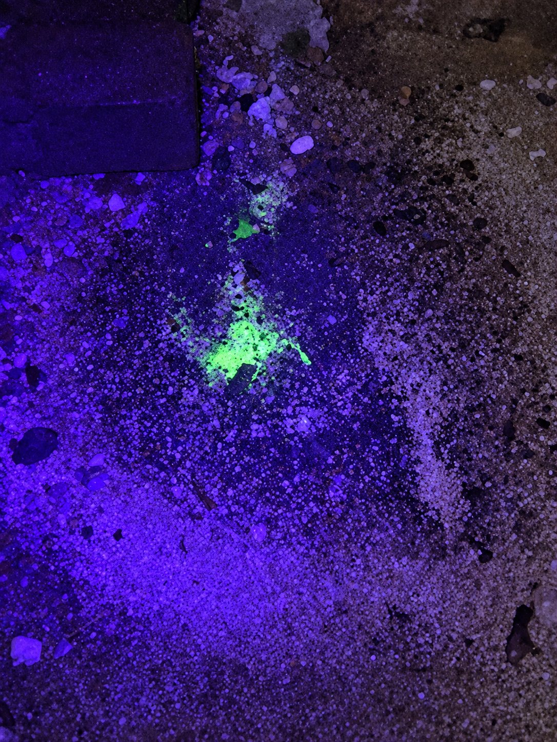Sous une lumière ultraviolette violette, une tache fluorescente verte se détache au centre d'un sol sableux et granuleux.